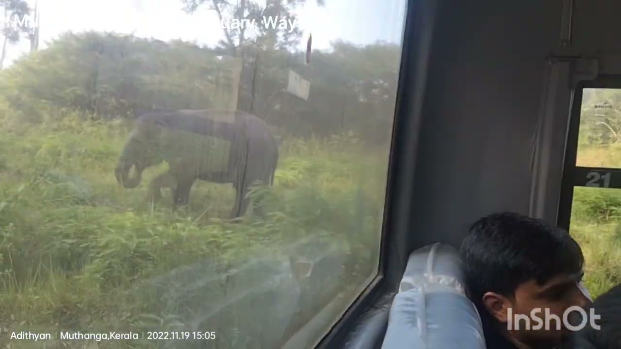 Super Forest Safari at Wayanad Muthanga Wild Life Sanctuary | Kerala Trip Nov 2022