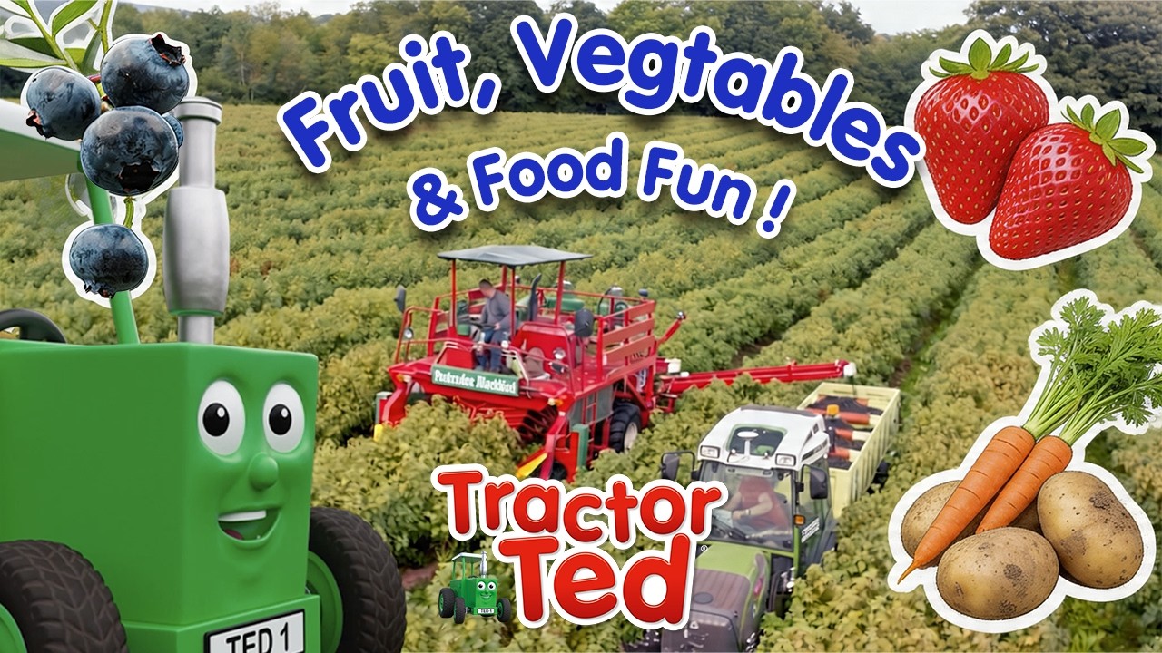 Фрукты, овощи и еда &mdash; это весело! 🥕🚜🍓 | Официальный аккаунт Tractor Ted