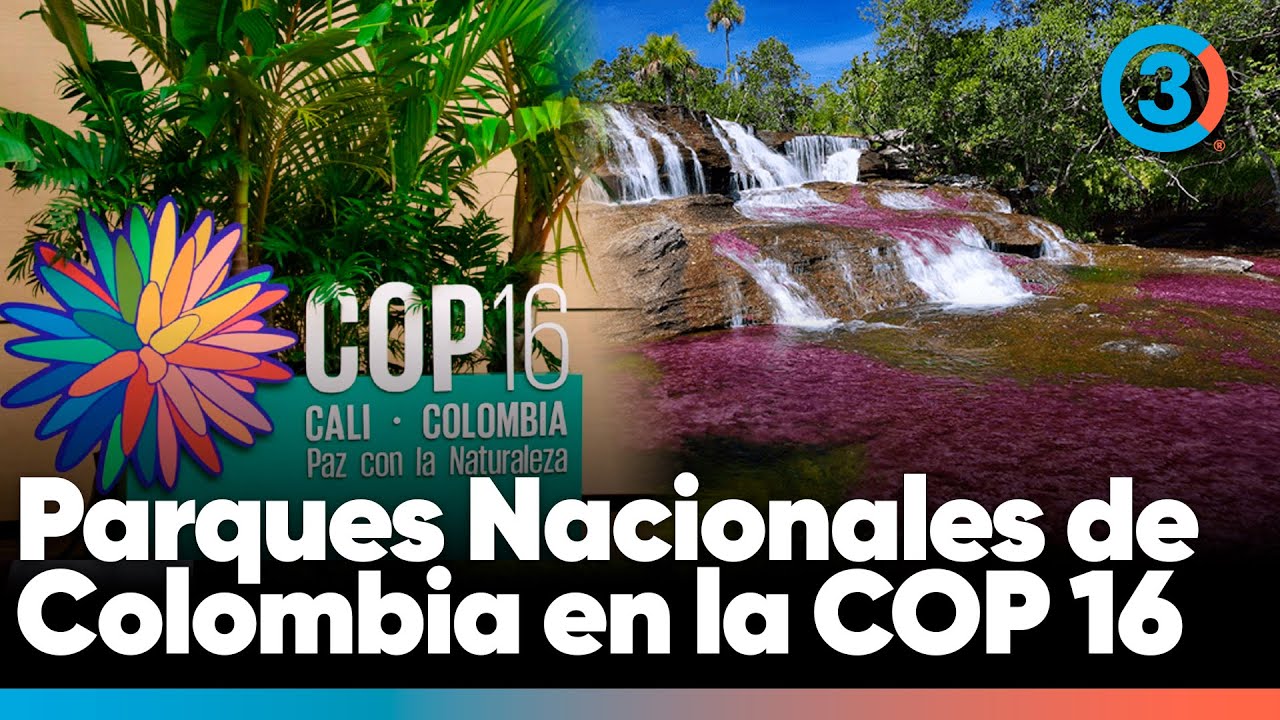 ¡Impresionante! Parques Nacionales de Colombia en la COP 16 | Una experiencia 360 | Tercer Canal