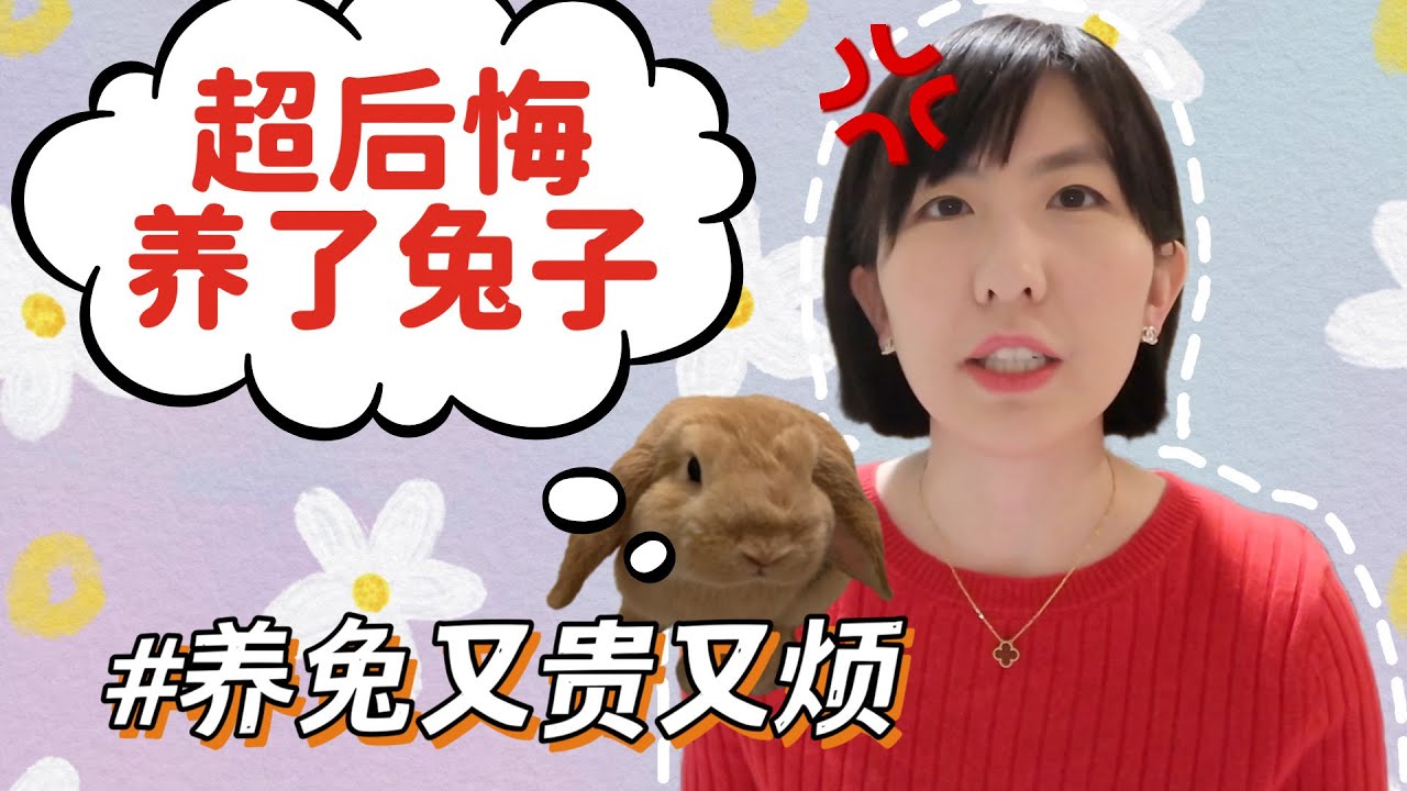 如果养兔之前知道这些，我可能不会养兔子了｜养兔子的缺点，又贵又麻烦又娇气，兔年真的不要因为可爱养兔子啊｜新手养兔经验谈