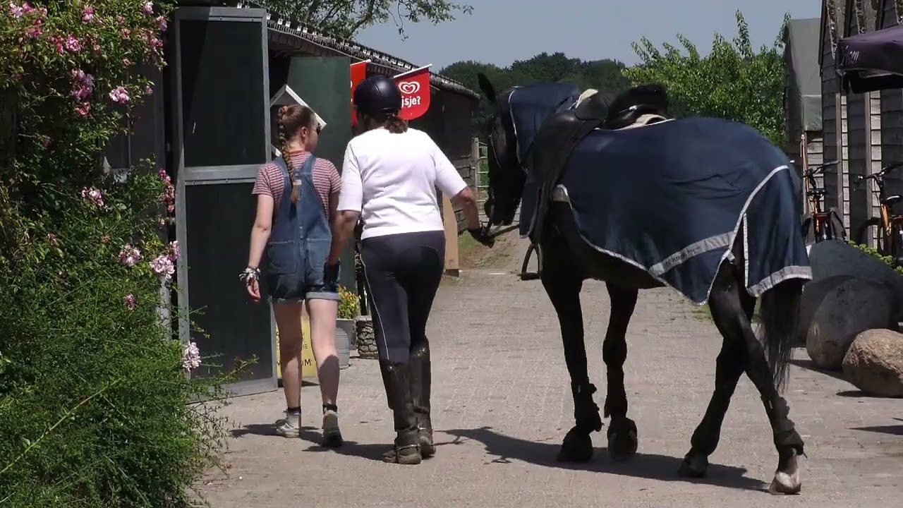 Manege Knollegruun