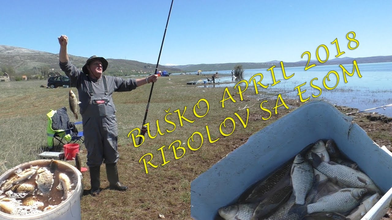 Ribolov babuške Buško jezero pecanje na feeder babuška riba na glistu fishing