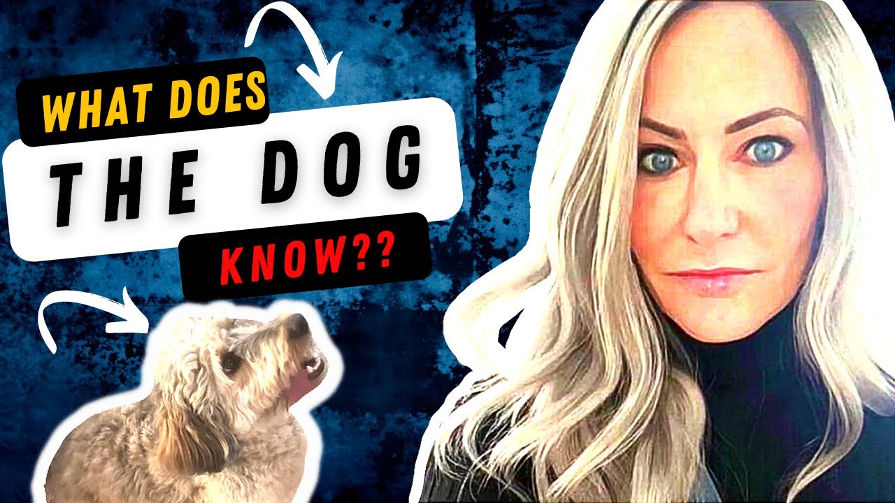 Heidi Planck - A Mysterious Disappearance & Her Body Yet To Be Found