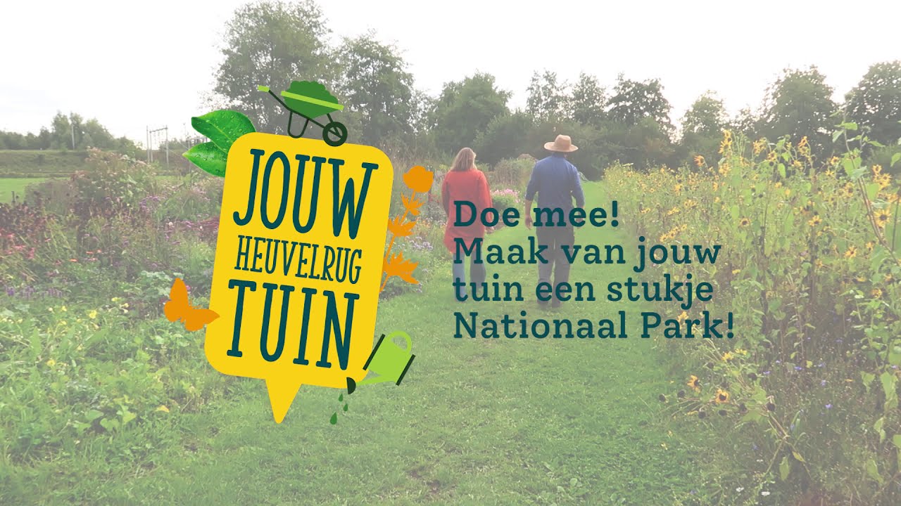Jouw Heuvelrugtuin volgens Sonne Copijn: planten waar bijen dol op zijn!