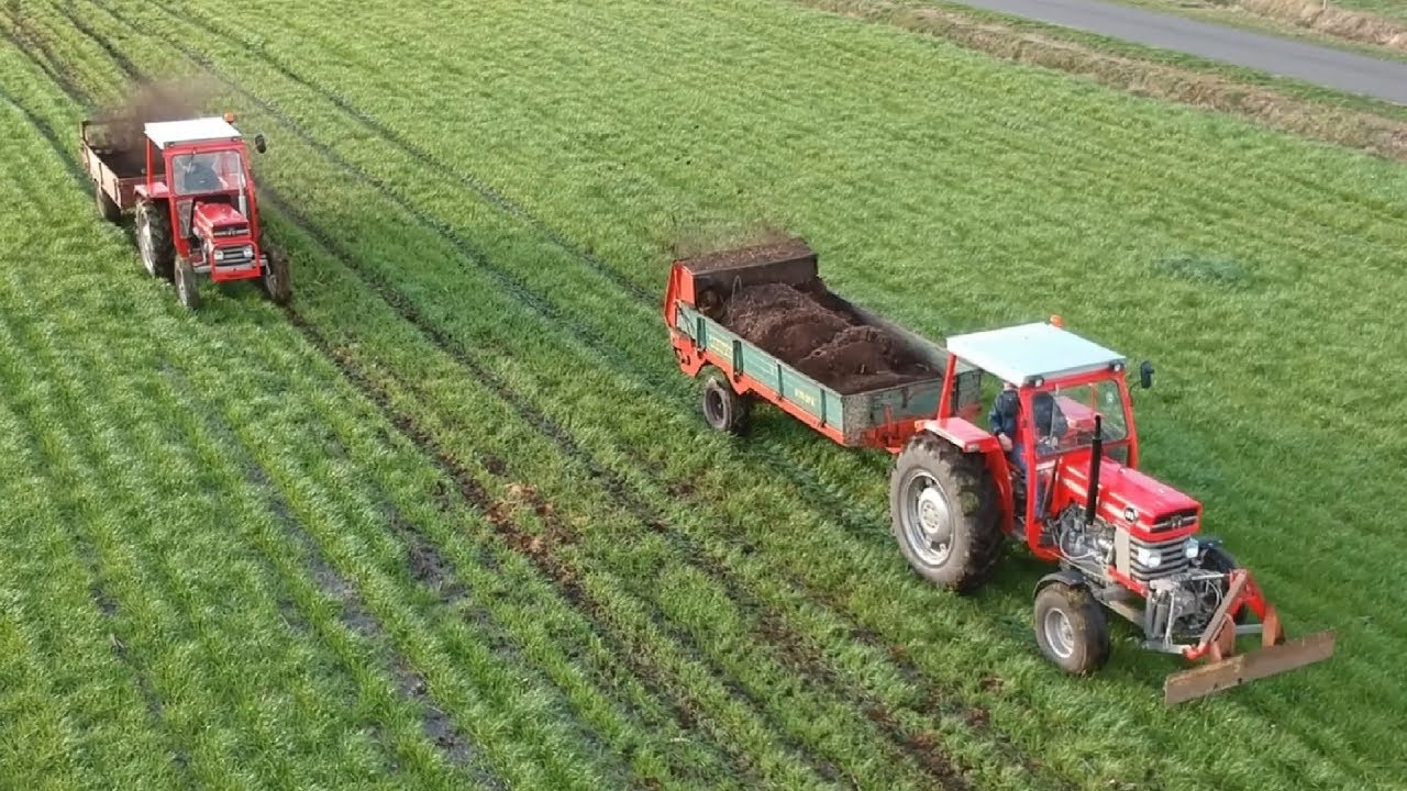 Golden Oldies! Spreading manure with Massey Ferguson
