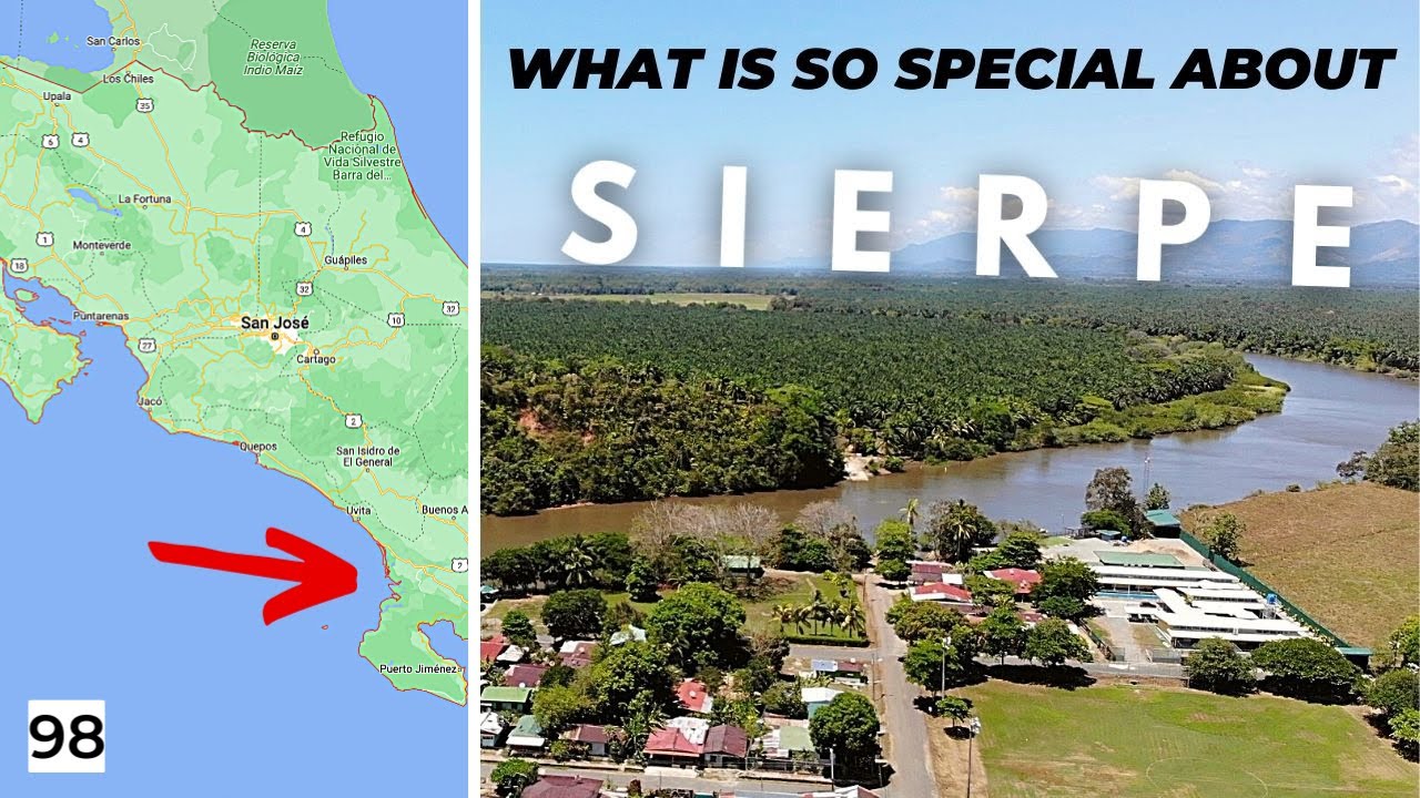 Costa Rica Road Trip Adventure Part 23: Breathtaking Mangroves and Wildlife of Sierpe