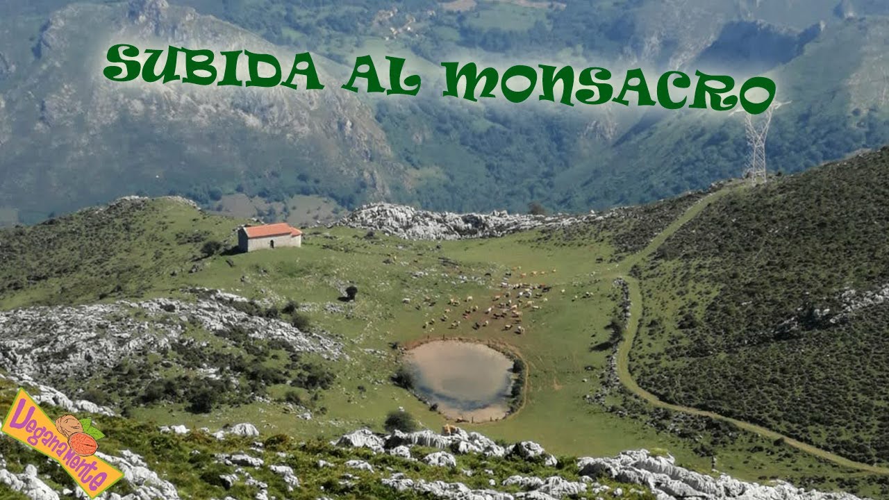 EL MONSACRO, Una Monta&ntilde;a Asturiana que Esconde Misterios | Veganamente