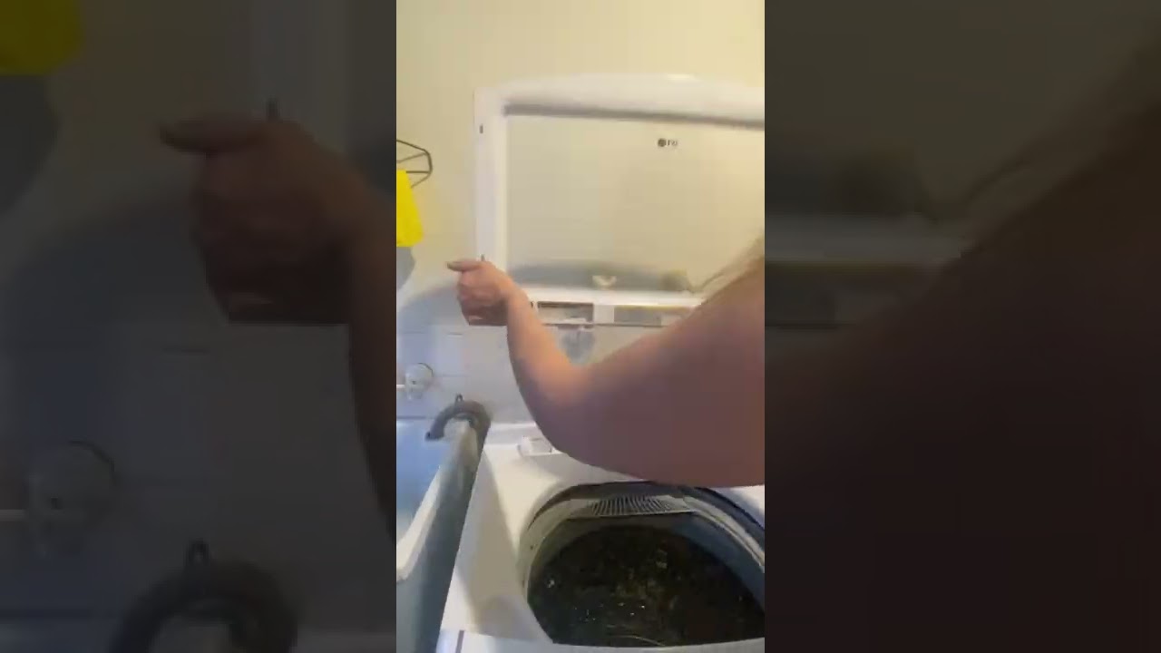 LG WTG7532W Replace Top Loading Washing Machine Lid Easily - dL Error