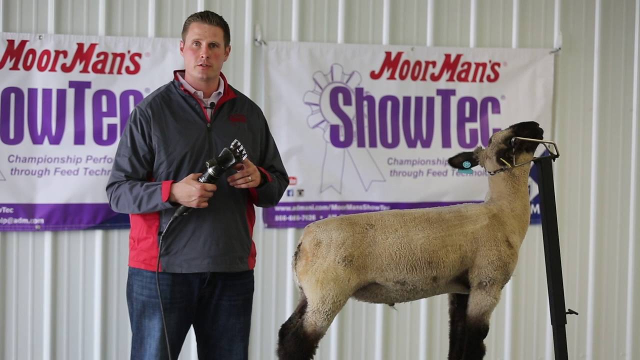 Health Care and Maintenance - MoorMan's ShowTec