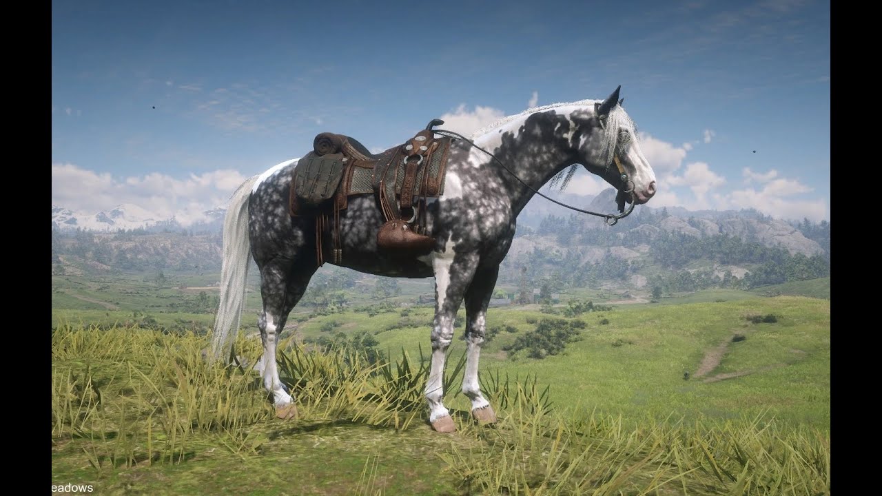 RDR2 Missouri Fox Trotter at Carmody Dell  *READ DESCRIPTION*