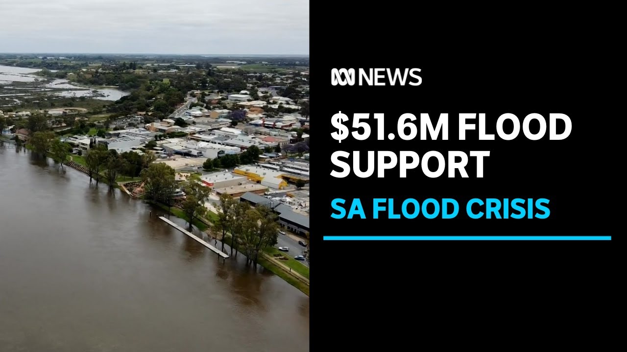 SA government commits more than $50m in flood relief as river towns brace for peak | ABC News