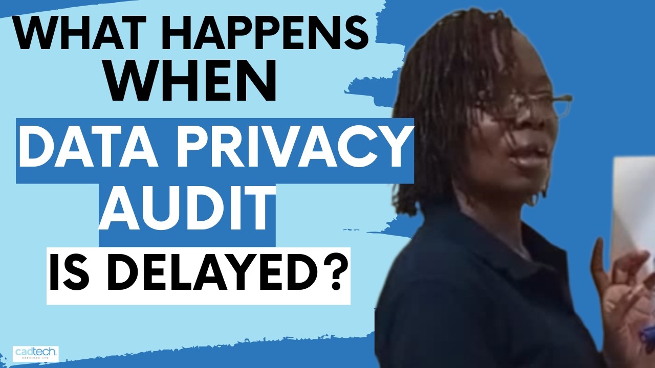When You Delay Your Data Privacy Audits. (What Executives Should Know)