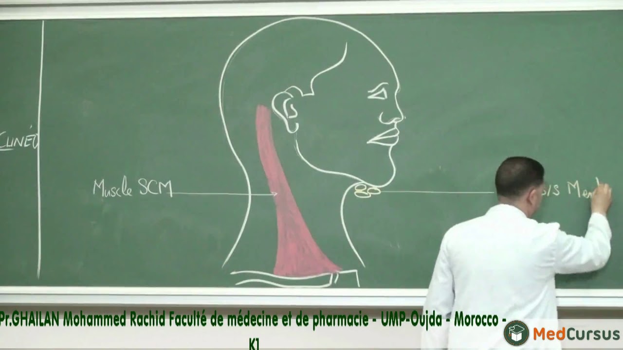 La vascularisation  Lymphatique  - Partie 1 - Pr. GHAILAN  Med  Rachid  fac de médecine oujda