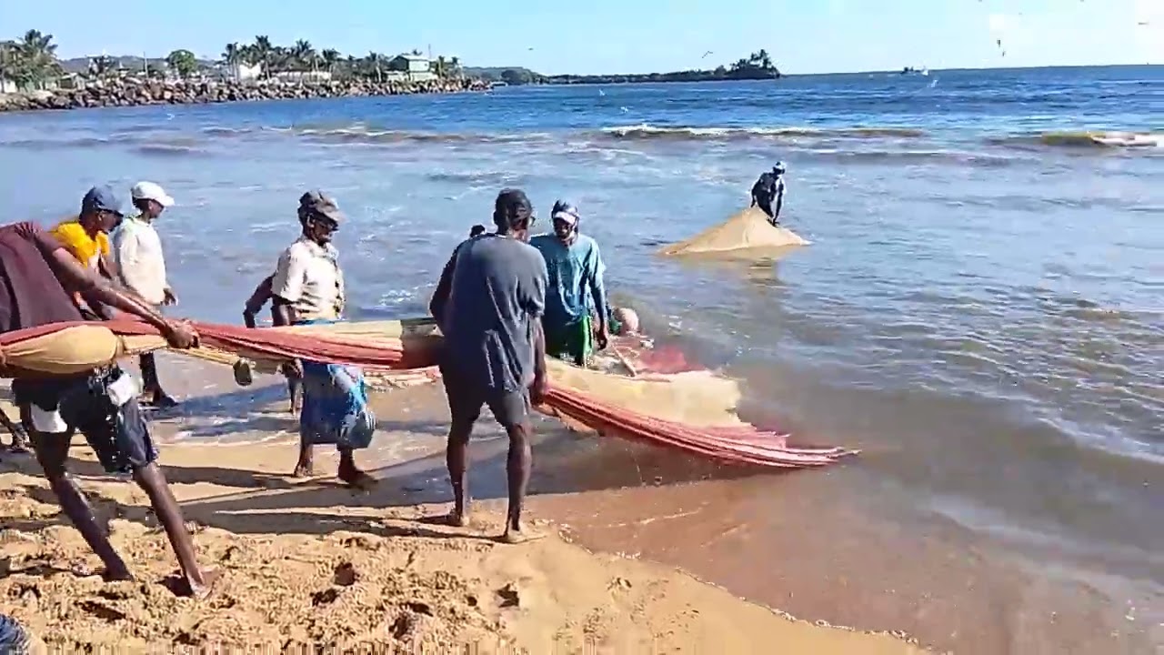 ගාල්ලේ තෝරු පරවූ මා දැල 🌊