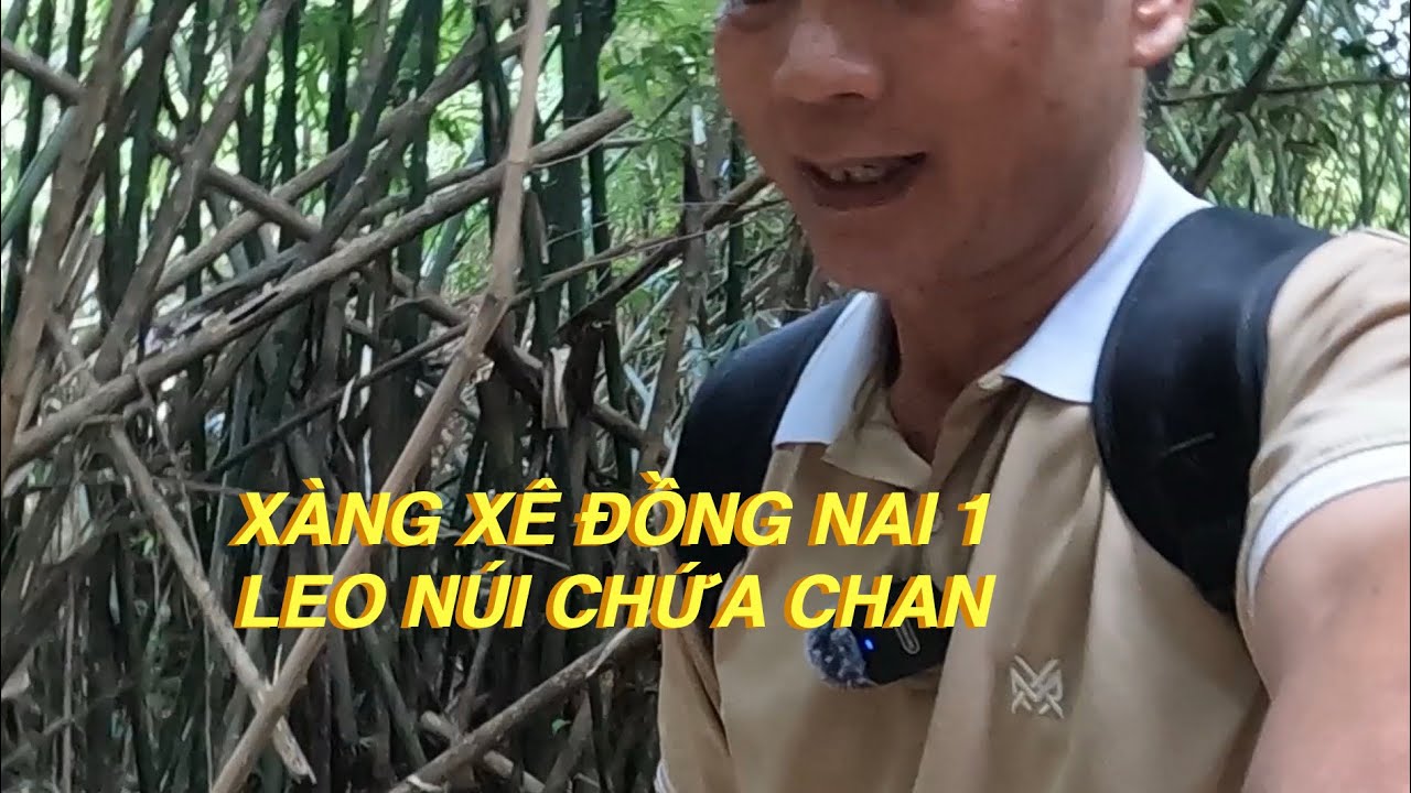 XÀNG XÊ ĐỒNG NAI 1