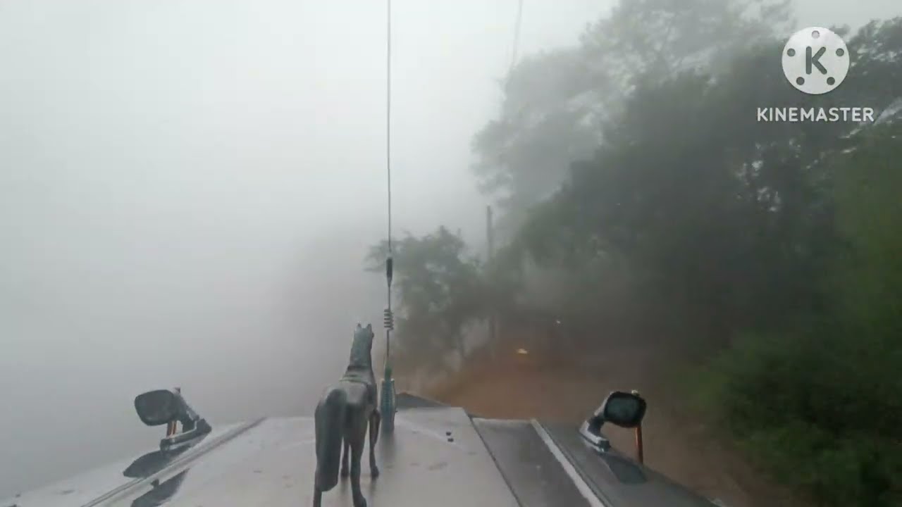 Dangerous Driving through  FOG,  Zero Visibility #driving