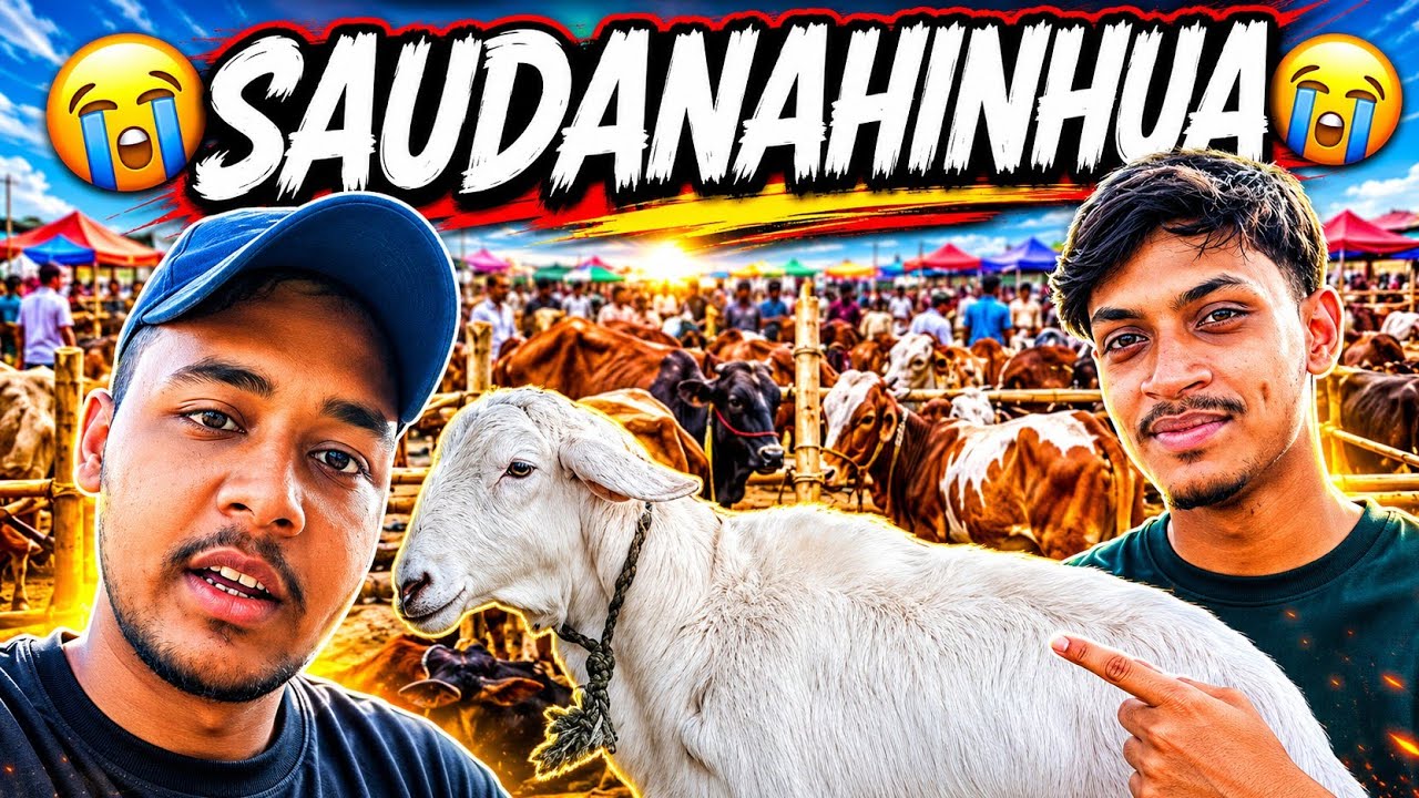 Aaj Ham Ja Rahe Hain Ramzan bhai🩶 ka Dumba🐏 lena Bakra PD