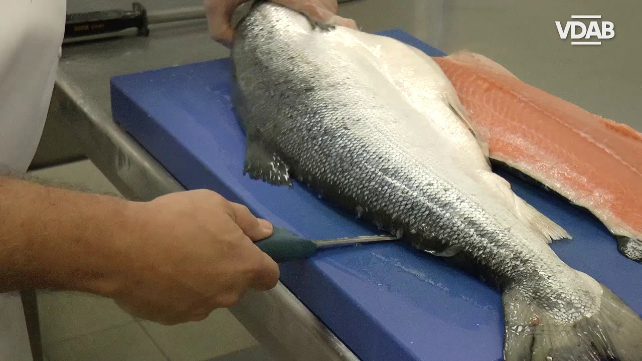 zalm fileren