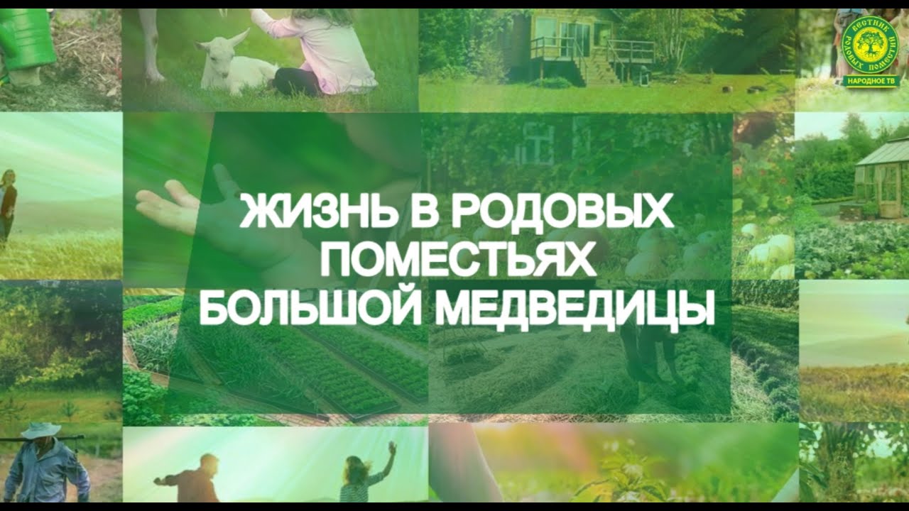 Жизнь в родовых поместьях 
