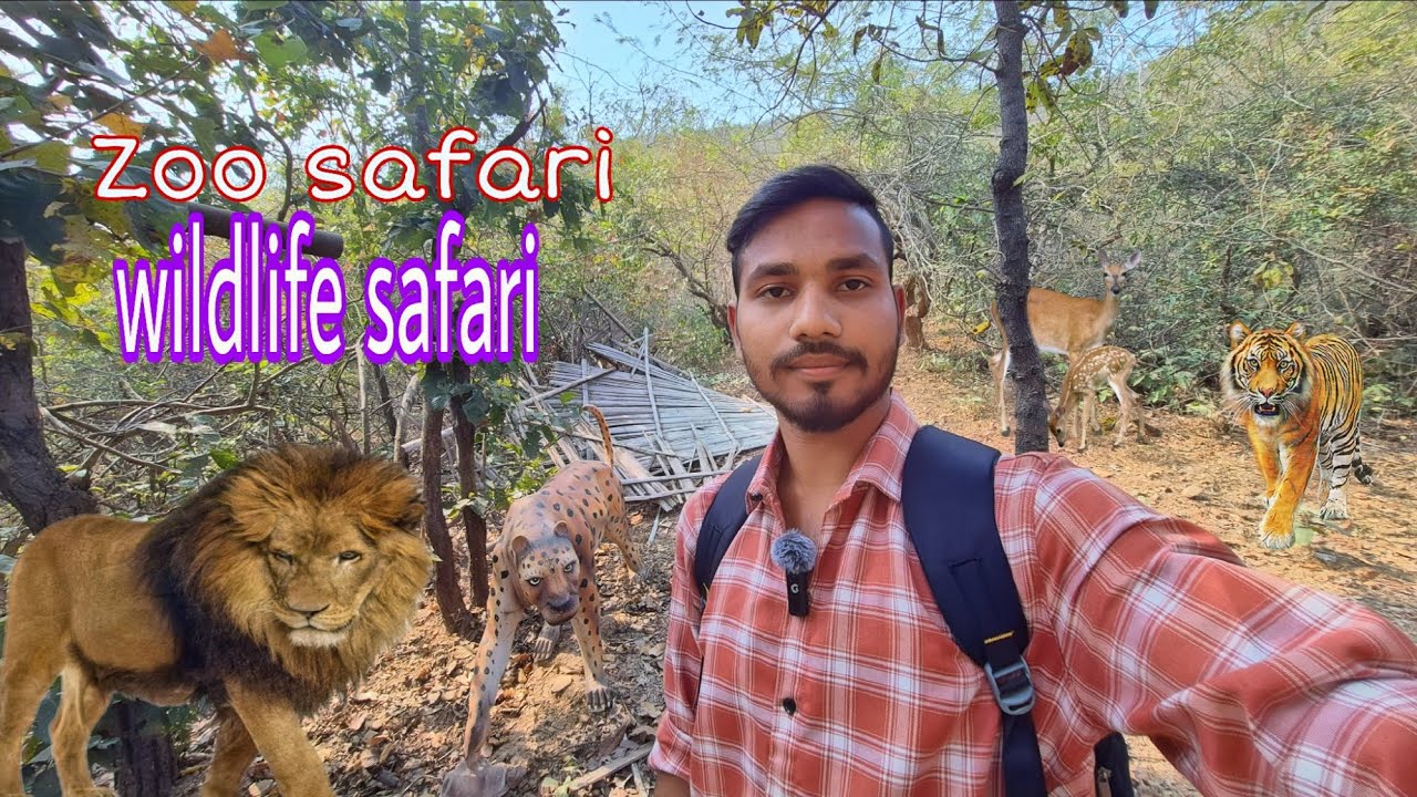 Rajgir zoo safari vlog part-03 | wildlife safari | Rajgir nature safari | animals 