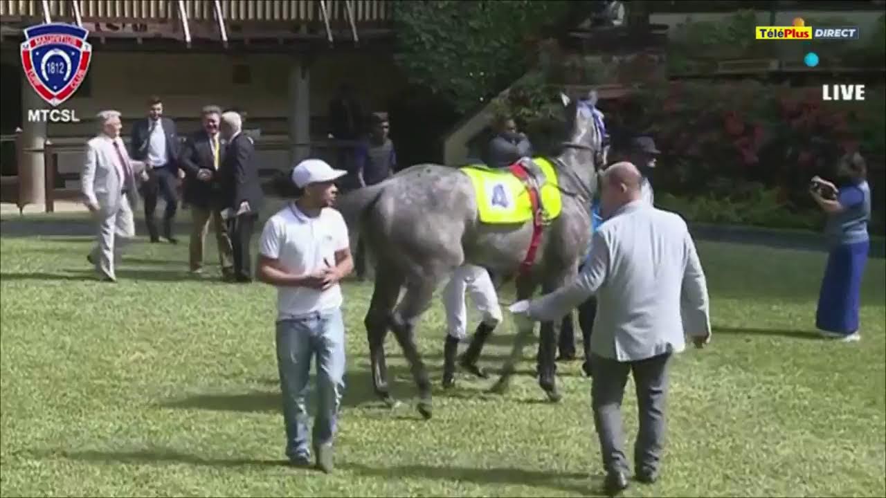 Hippisme - 7&egrave;me journ&eacute;e - La 1&egrave;re course en direct