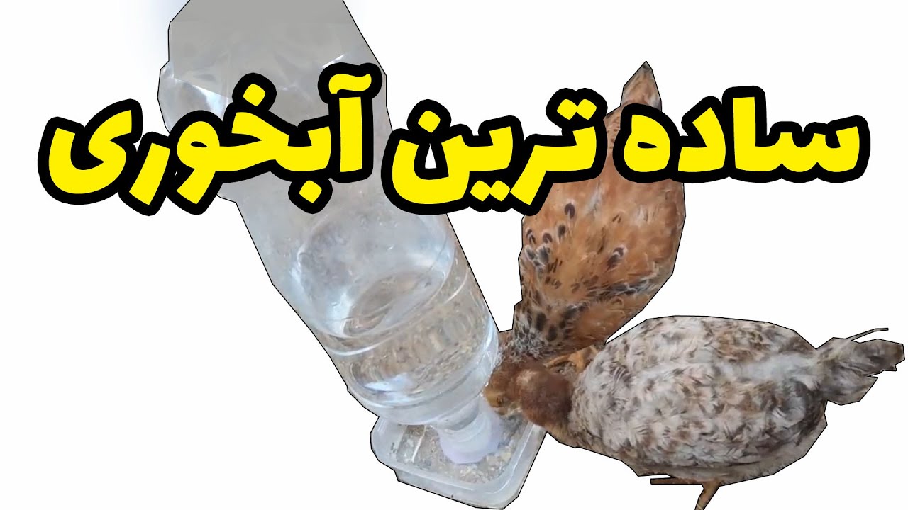 نحوه ساخت  آبخوری بسیار ساده برای جوجه ها