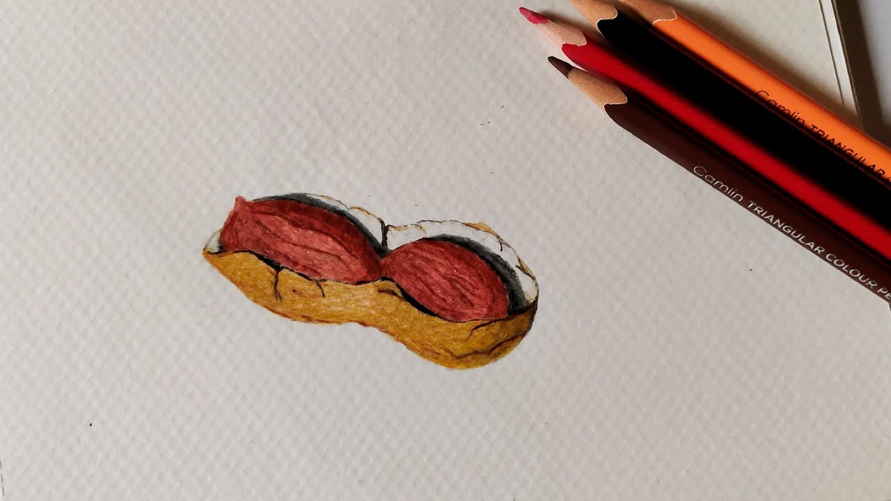 How to Draw a Realistic Peanut with Colored Pencils 🥜