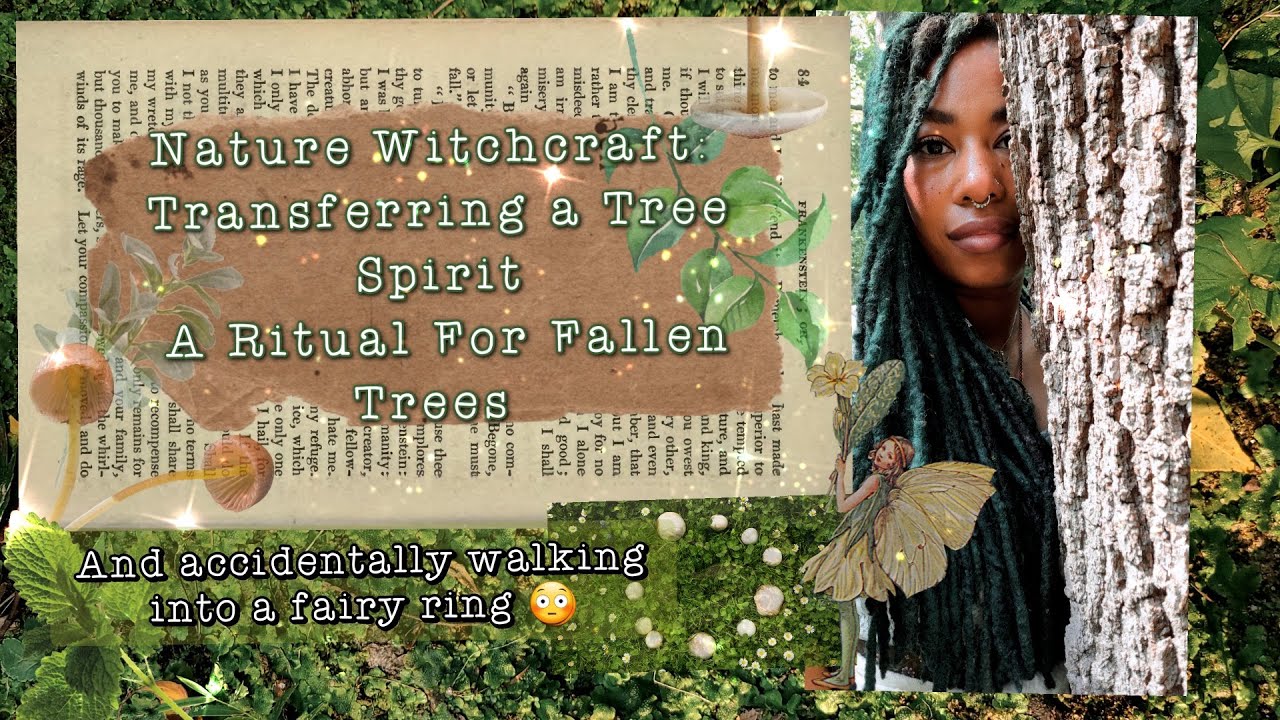 Nature Witchcraft: Transferring a Tree Spirit, A Ritual For Fallen Trees