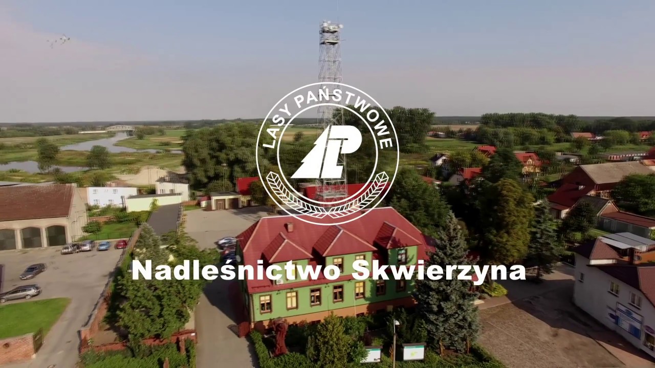 Nadleśnictwo Skwierzyna
