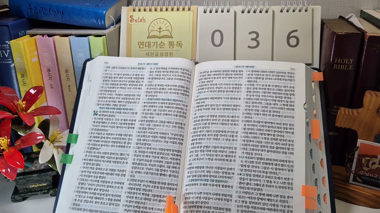 연대기순 통독 제36일(민 13~15장, 시90)_새한글성경