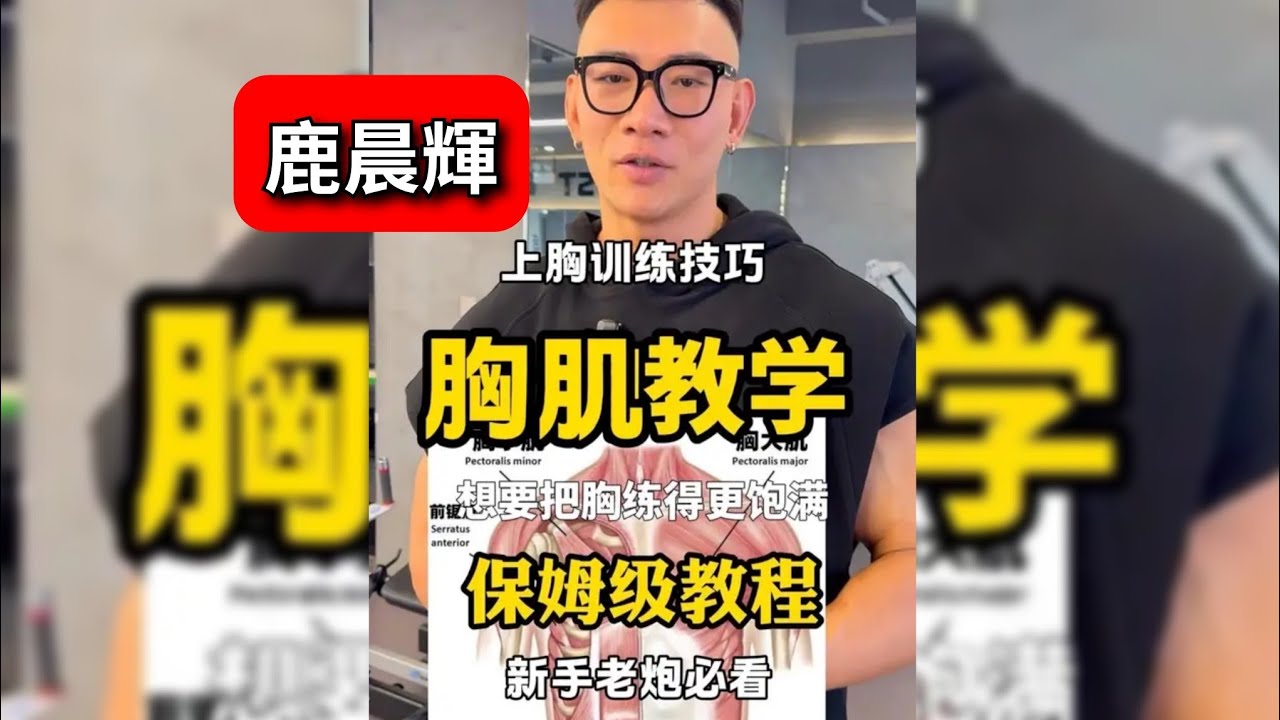 鹿晨輝｜胸肌训练｜鹿晨辉保姆级教程！ 一个动作练到位 高阶教学！想进步的小伙伴马注这条视频！