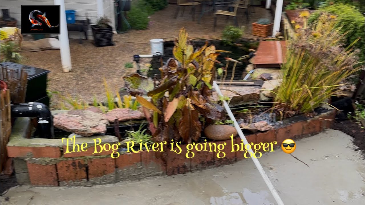 Finally the Bog River extension is starting 😎 #pondmaintenance #koi 