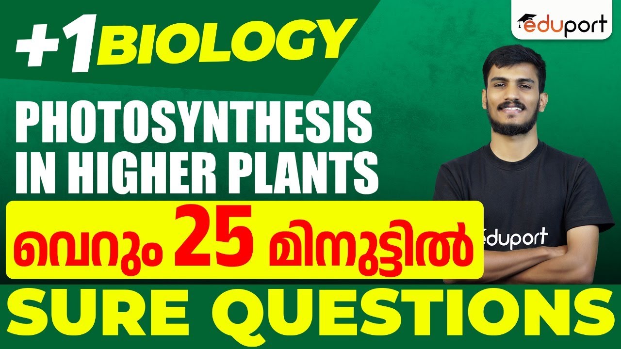 Plus One Biology | Photosynthesis in Higher Plants | Sure Questions | Eduport Plus One