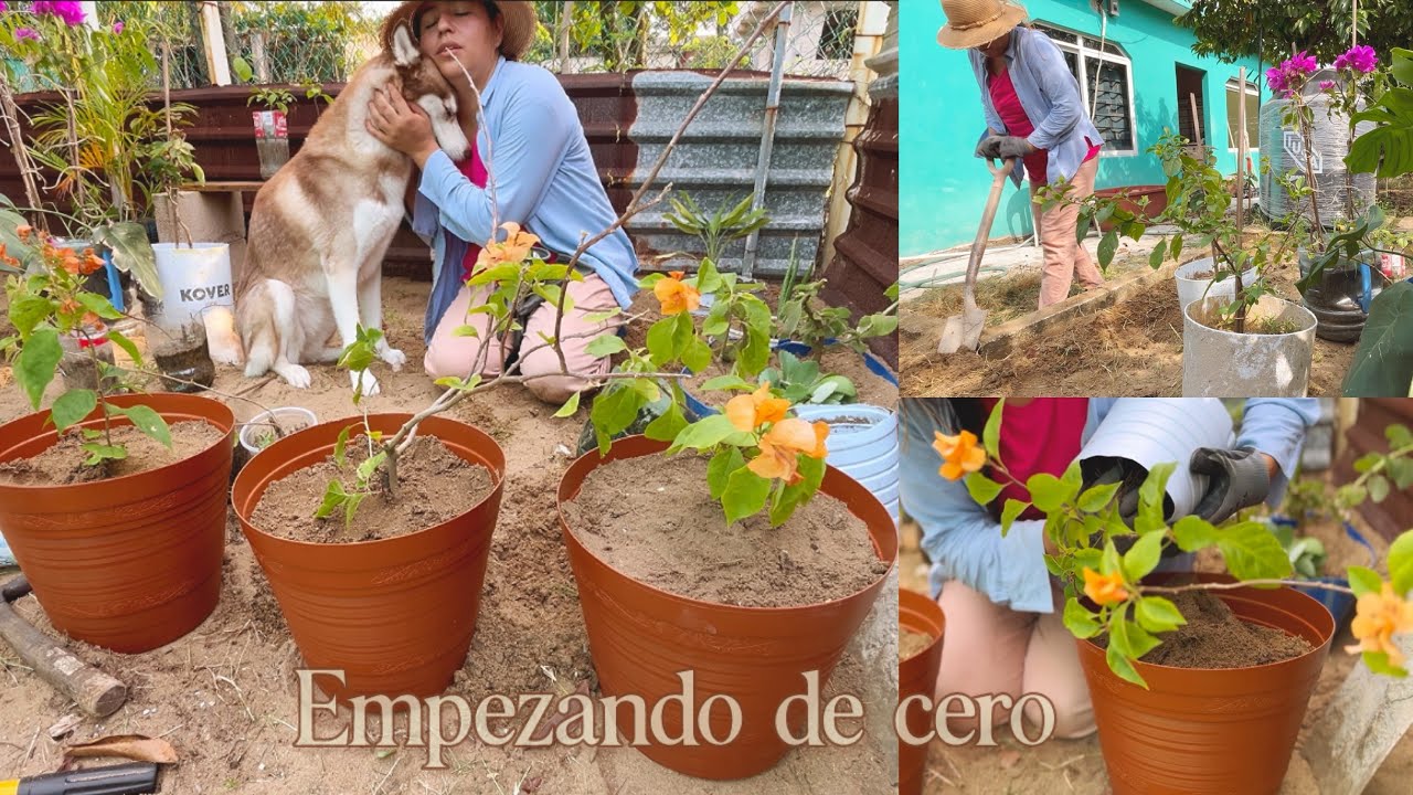 Empezando de cero | Sanando mi corazón roto entre días soleados y plantas 🪴❤️‍🩹