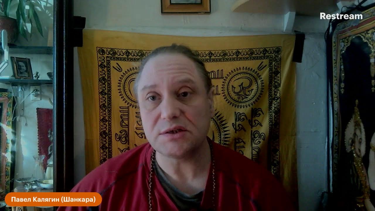 Эволюция. Мурлыканье кошек. Сублимация. Просветление. Медитации Единения.  Павел Калягин 24 02 2026