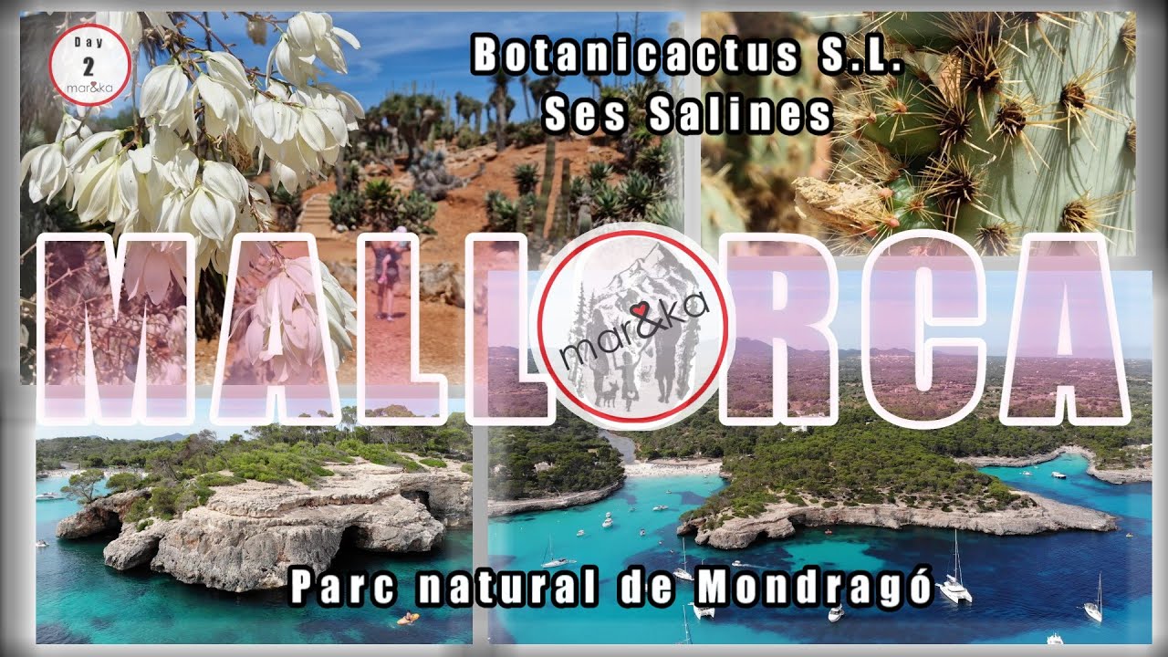 Botanicactus, plaże i rajski Parc natural de Mondragó 🏝️🌺 | dzień 2 | Majorka 🇪🇸 Hiszpania