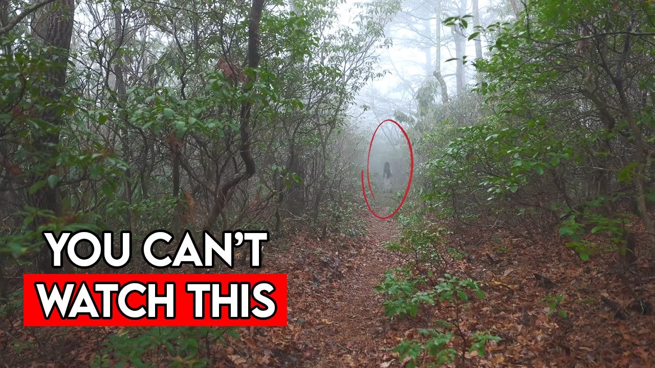 5 TERRIFYING Forest Encounters Caught on Camera