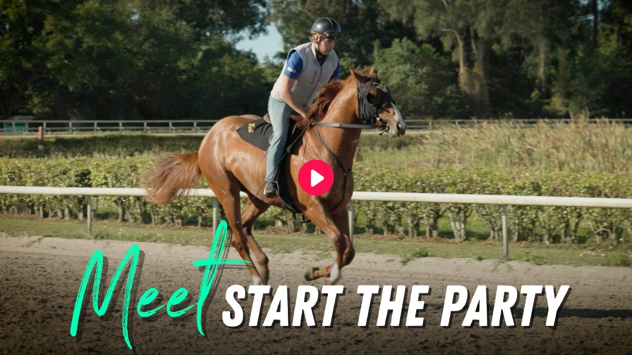 Meet Start the Party: Constitution Colt to Wesley Ward