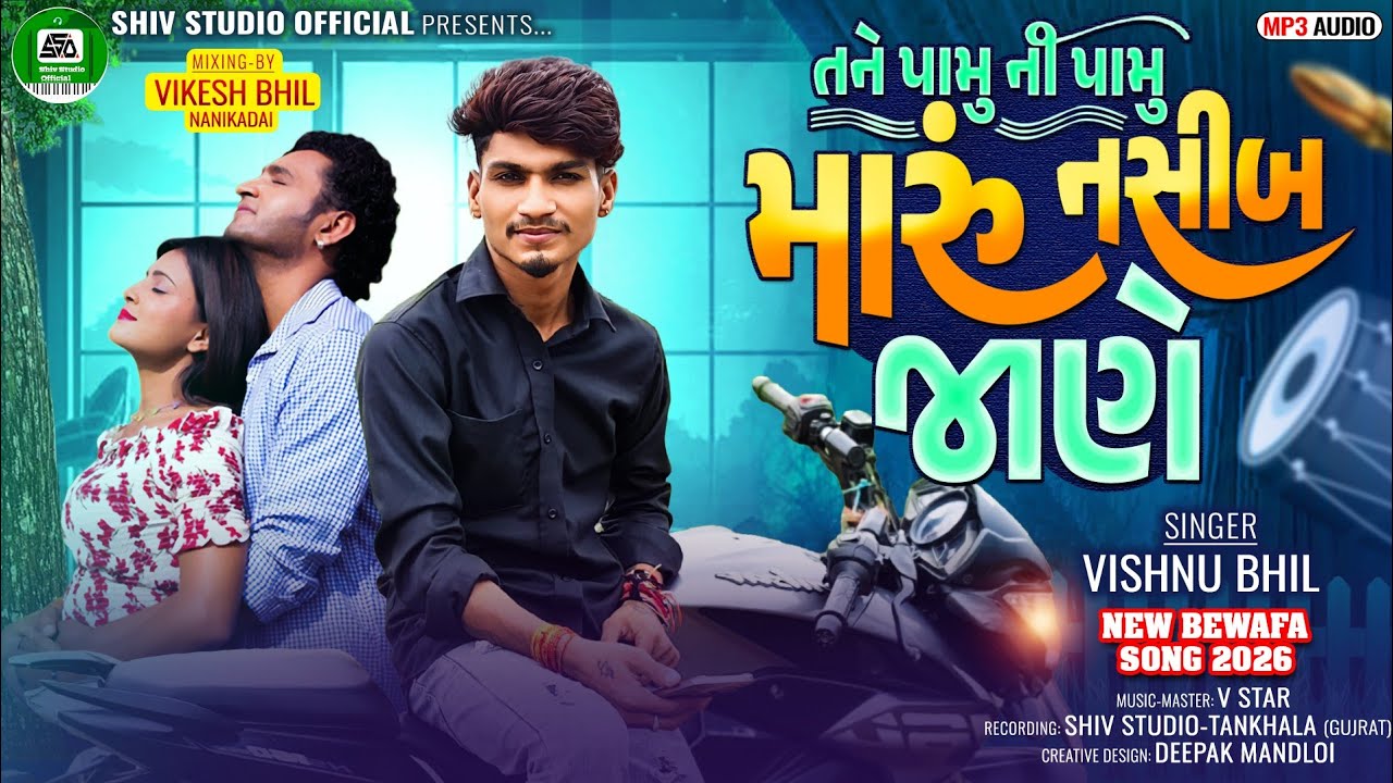 TANE PANU NI PAMU MARU NASHIB JANE  || VISHNU BHIL NEW TIMLI 2026 || DJ AEXPRESS TIMLI 2026