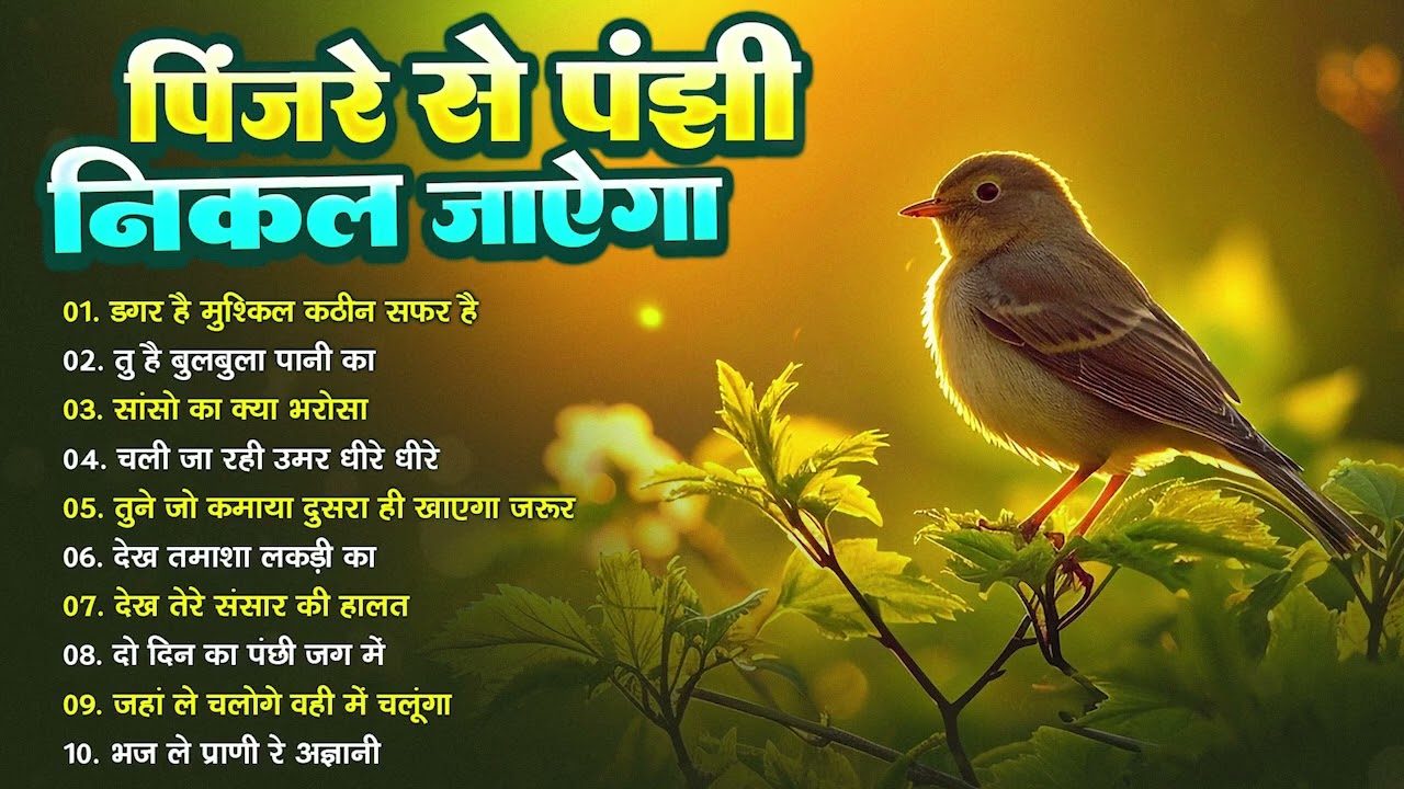 #Nirgun | पिंजरे से पंछी निकल जाएगा | Nonstop Nirgun Bhajan | Chetawani Geet | Nirgun Songs 2026