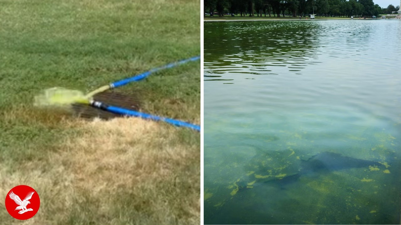 Pipes remove algae from reflecting pool after Trump blamed vandalism