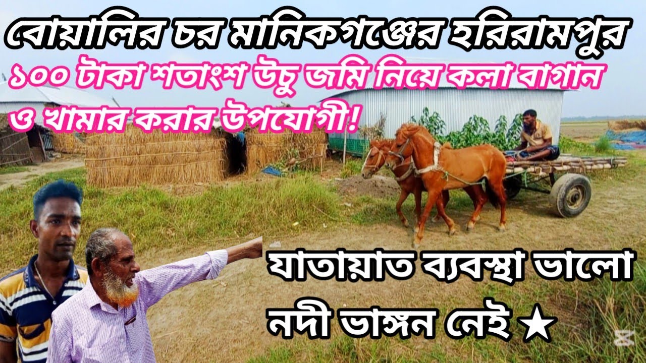 ১০০টাকা শতাংশ উঁচু জমি শত শত বিঘা নিয়ে  কলা বাগানও খামার করে অনেকেই আজ সফল উদ্যোক্তা!মানিকগঞ্জvairl