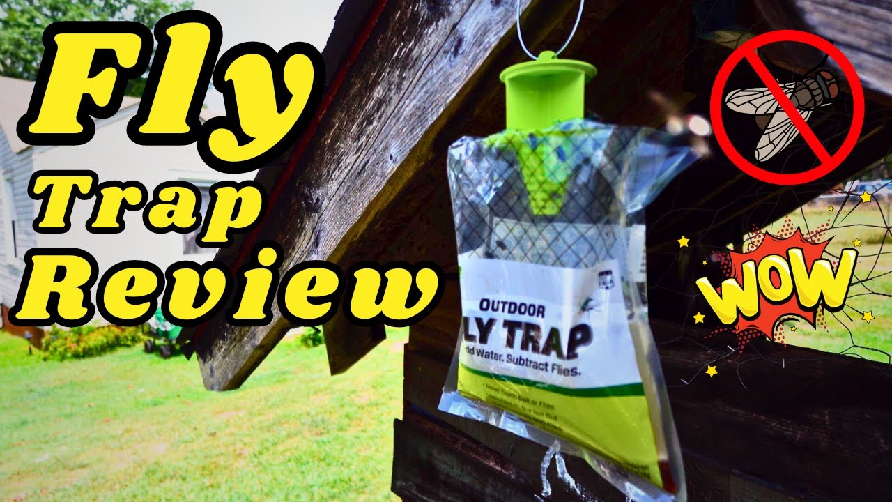 Outdoor Disposable Hanging Fly Trap - Review