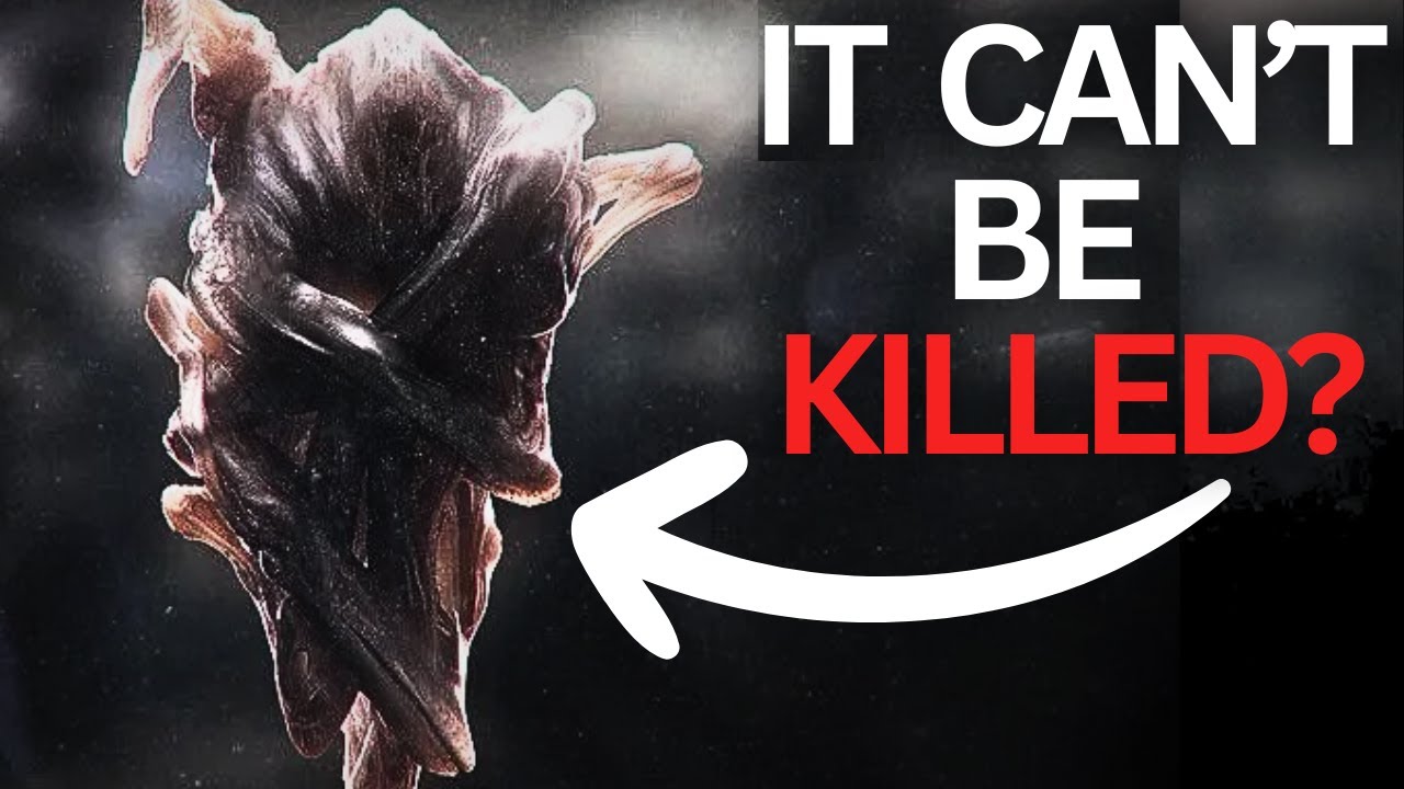 Is This The SCARIEST Alien Creature In Modern Movie HISTORY???