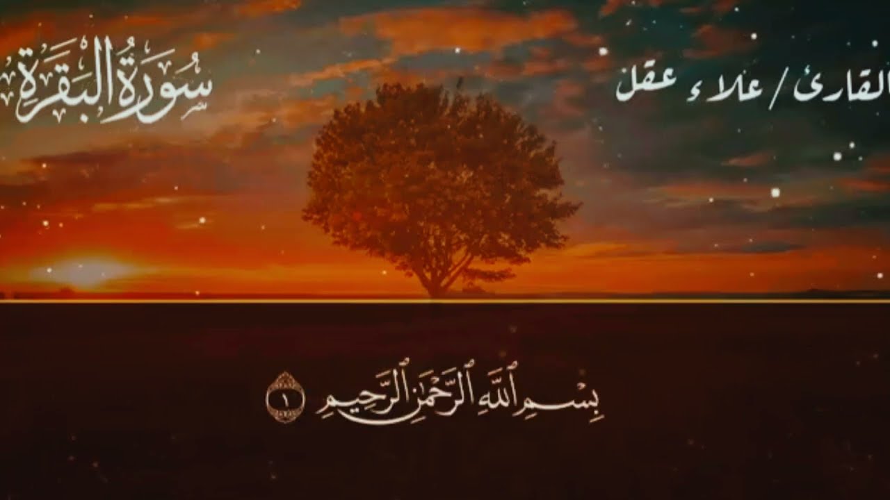 سورة البقرة أول سورة في القرآن الكريم، قراءتها في البيت تطرد الشياطين، اهل القرآن وفقكم الله 