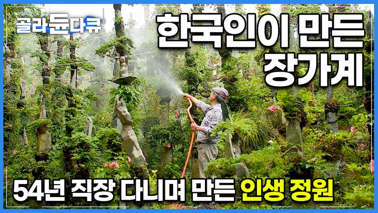 직접 개발한 8미터 초대형 석부작으로 중국의 장가계를 한국에 그대로 옮겼다!│돌끼리 붙여 나무 만들었더니 걸작 탄생했다! 나만의 인생 정원│거제도 미니 장가계│한국기행│#골라듄다큐