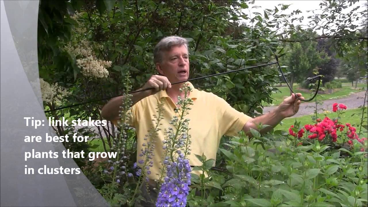 Staking Perennials with Mark Cullen