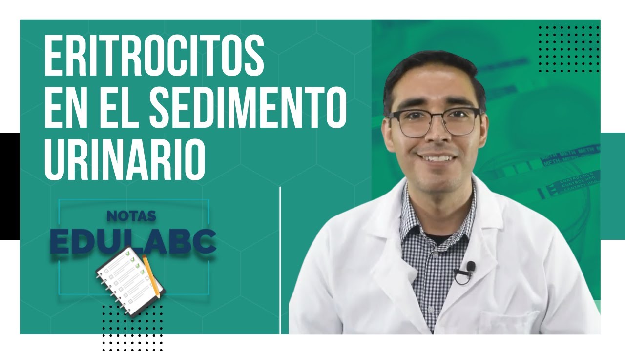 Eritrocitos en el Sedimento Urinario  | 📝  Notas EduLabC
