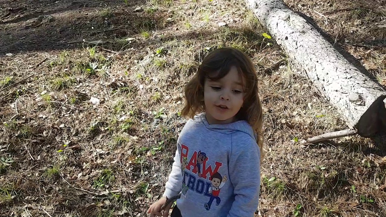 Ruta por el camping Llanos de arance