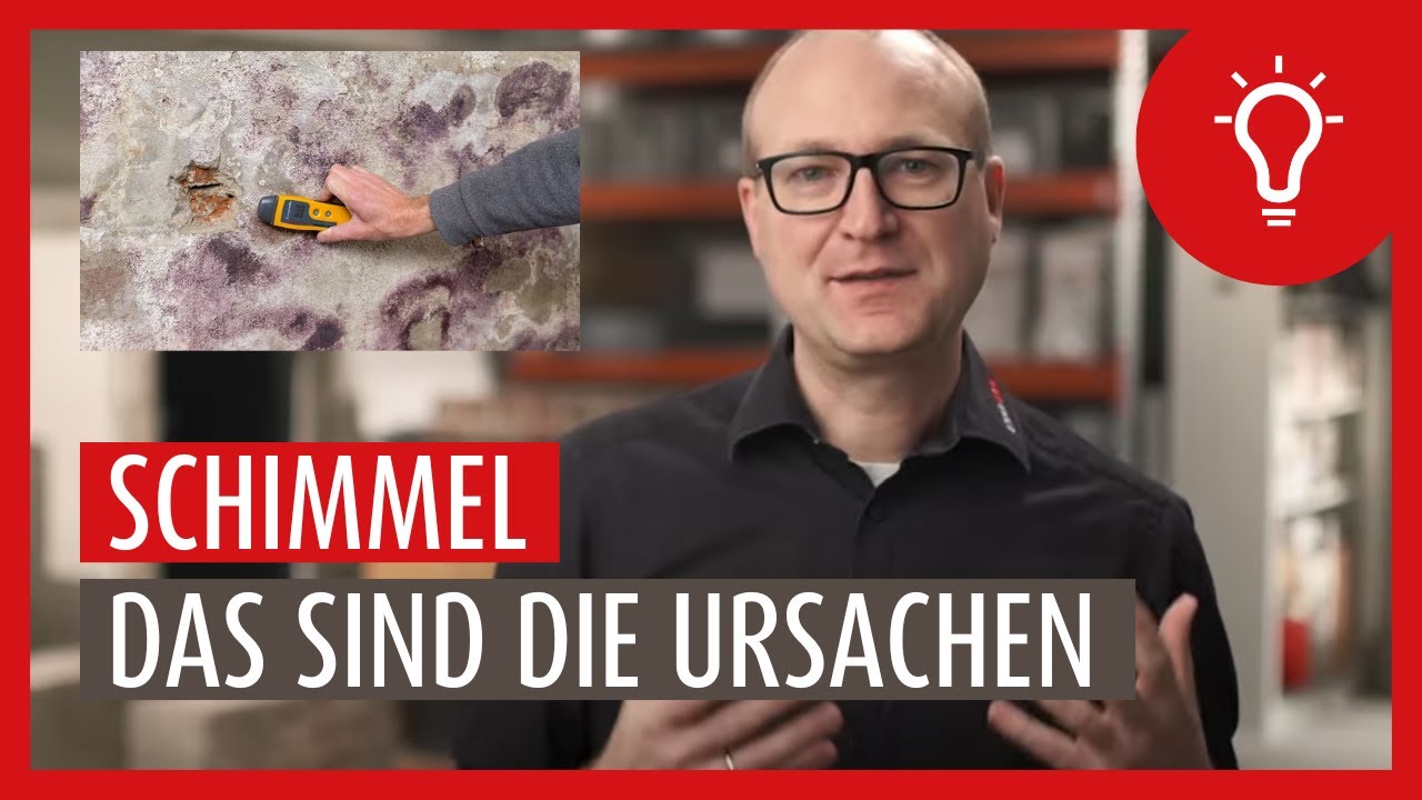 Schimmel - Wie entsteht er? Ursachen und Präventionsmaßnahmen